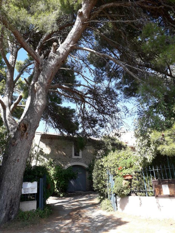 Domaine De La Pinsonniere Villa La Liviniere Eksteriør bilde